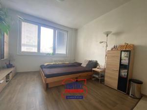 Pronájem bytu 1+kk, České Budějovice, Staroměstská, 25 m2