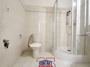 Pronájem bytu 1+1, České Budějovice - České Budějovice 3, 45 m2