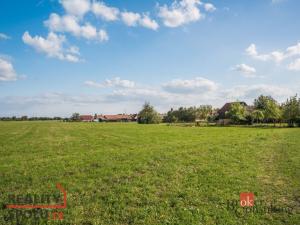 Prodej pozemku pro bydlení, Horní Ředice, 1250 m2