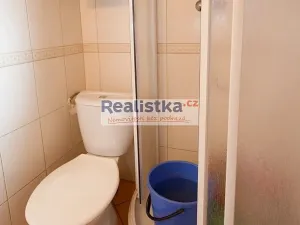 Prodej chaty, Dolní Hradiště, 89 m2