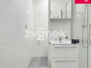 Pronájem bytu 1+1, Zlín, Bratří Jaroňků, 30 m2