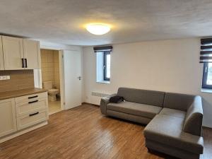 Prodej atypického bytu, Přední Výtoň, Svatý Tomáš, 152 m2