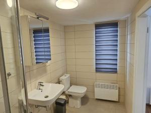 Prodej atypického bytu, Přední Výtoň, Svatý Tomáš, 152 m2