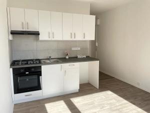 Pronájem bytu 1+1, Litvínov, Rooseveltova, 37 m2