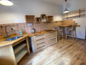 Pronájem bytu 1+1, Ústí nad Labem - Klíše, Masarykova, 46 m2