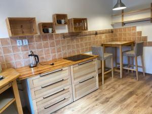Pronájem bytu 1+1, Ústí nad Labem - Klíše, Masarykova, 46 m2