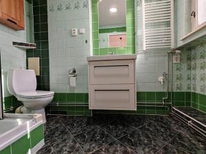 Pronájem bytu 1+1, Ústí nad Labem - Klíše, Masarykova, 46 m2