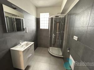 Pronájem bytu 2+kk, České Budějovice, Hraniční, 46 m2