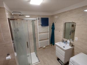 Pronájem bytu 2+kk, Olomouc - Nová Ulice, Třída Jiřího Pelikána, 75 m2