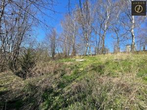 Prodej pozemku pro bydlení, Chlístovice - Kralice, 987 m2