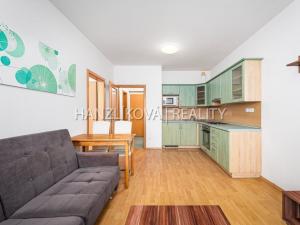 Prodej bytu 2+kk, České Budějovice - České Budějovice 3, J. Š. Baara, 43 m2