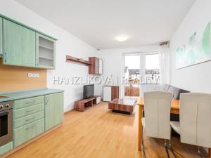 Prodej bytu 2+kk, České Budějovice - České Budějovice 3, J. Š. Baara, 43 m2
