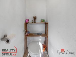 Prodej chaty, Velký Týnec, 30 m2