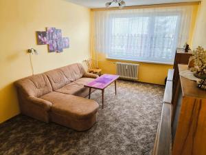 Prodej bytu 2+kk, Most, Františka Malíka, 40 m2
