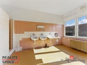 Pronájem výrobních prostor, Hradec Králové - Slezské Předměstí, Výrobní, 1059 m2