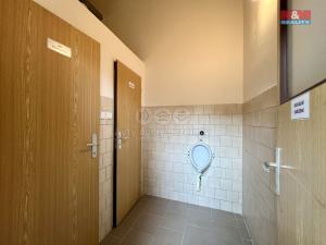 Pronájem výrobních prostor, Město Albrechtice, L. Janáčka, 410 m2