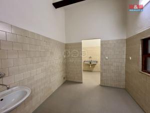 Pronájem výrobních prostor, Město Albrechtice, L. Janáčka, 410 m2