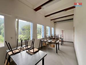 Pronájem výrobních prostor, Město Albrechtice, L. Janáčka, 410 m2
