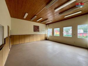 Pronájem výrobních prostor, Město Albrechtice, L. Janáčka, 410 m2