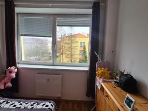 Pronájem bytu 2+1, Mariánské Lázně, Dvořákova, 48 m2