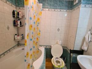 Pronájem bytu 2+1, Mariánské Lázně, Dvořákova, 48 m2