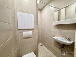 Pronájem bytu 1+kk, Kynšperk nad Ohří, Jana Jiskry, 21 m2