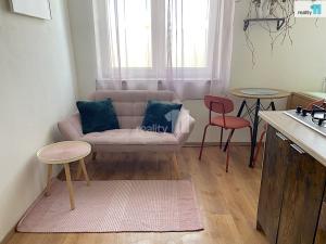 Pronájem bytu 1+kk, Stanovice - Hlinky, 19 m2