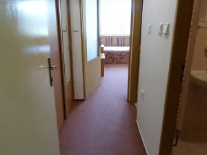 Pronájem bytu 1+kk, Brno, Heršpická, 23 m2