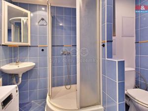 Pronájem bytu 2+1, Chomutov, Dostojevského, 54 m2