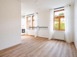 Prodej bytu 1+kk, Praha - Podolí, Sinkulova, 30 m2