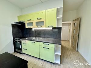 Pronájem bytu 1+1, Brno, Kotěrova, 40 m2