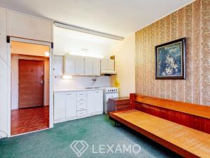Prodej bytu 1+kk, Znojmo, Mičurinova, 20 m2