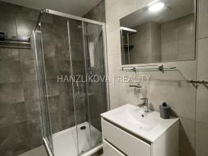 Pronájem bytu 2+kk, České Budějovice, U Branišovského lesa, 53 m2