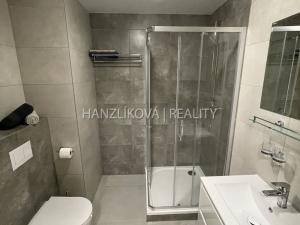 Pronájem bytu 2+kk, České Budějovice, U Branišovského lesa, 53 m2