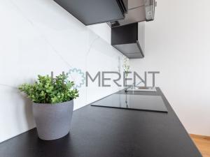 Pronájem bytu 1+kk, Praha - Vinohrady, Perucká, 25 m2