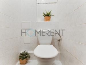 Pronájem bytu 1+1, Praha - Holešovice, Přístavní, 45 m2