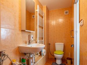 Prodej rodinného domu, Dyje, 190 m2