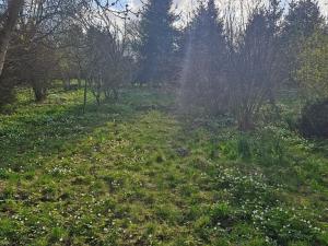 Prodej pozemku pro bydlení, Mezina, 849 m2