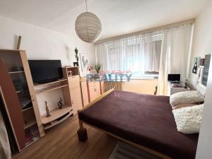 Prodej bytu 2+1, České Budějovice - České Budějovice 3, Pražská tř., 62 m2