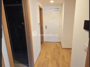 Pronájem bytu 2+kk, Praha - Žižkov, Šrámkové, 52 m2