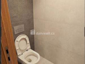 Pronájem bytu 2+kk, Praha - Žižkov, Šrámkové, 52 m2