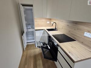 Pronájem bytu 2+kk, Praha - Žižkov, Šrámkové, 52 m2