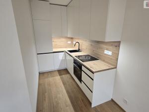 Pronájem bytu 2+kk, Praha - Žižkov, Šrámkové, 52 m2