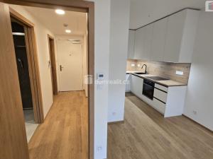 Pronájem bytu 2+kk, Praha - Žižkov, Šrámkové, 52 m2