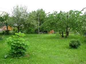 Prodej pozemku pro bydlení, Zlaté Hory, Polská, 880 m2