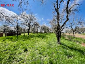 Prodej chalupy, Budíškovice - Vesce, 104 m2