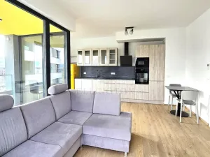 Pronájem bytu 2+kk, Praha - Karlín, Sokolova, 54 m2