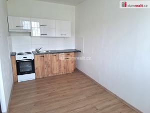 Pronájem bytu 3+kk, Ústí nad Labem - Střekov, Mánesova, 53 m2