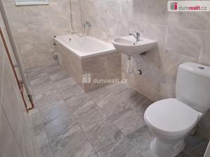 Pronájem bytu 3+kk, Ústí nad Labem - Střekov, Mánesova, 53 m2