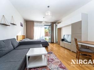 Pronájem bytu 1+kk, Praha - Žižkov, Olšanská, 39 m2